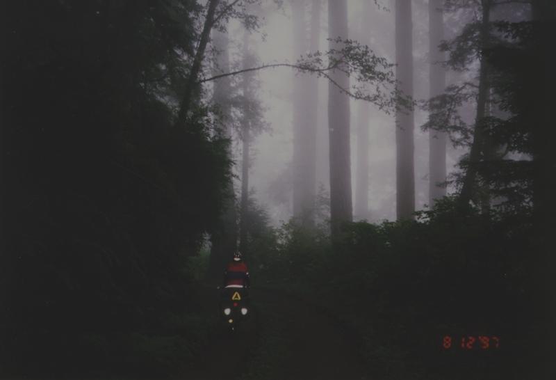 The Photo is here.