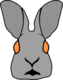 a bunny image