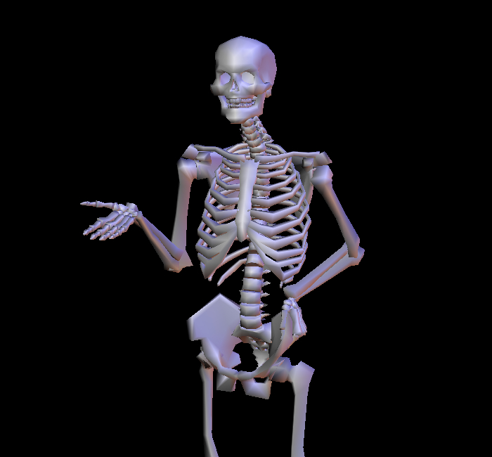 Skeleton