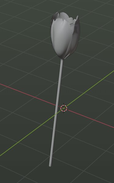 tulip model