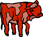 [Image of Kuhli Basic]